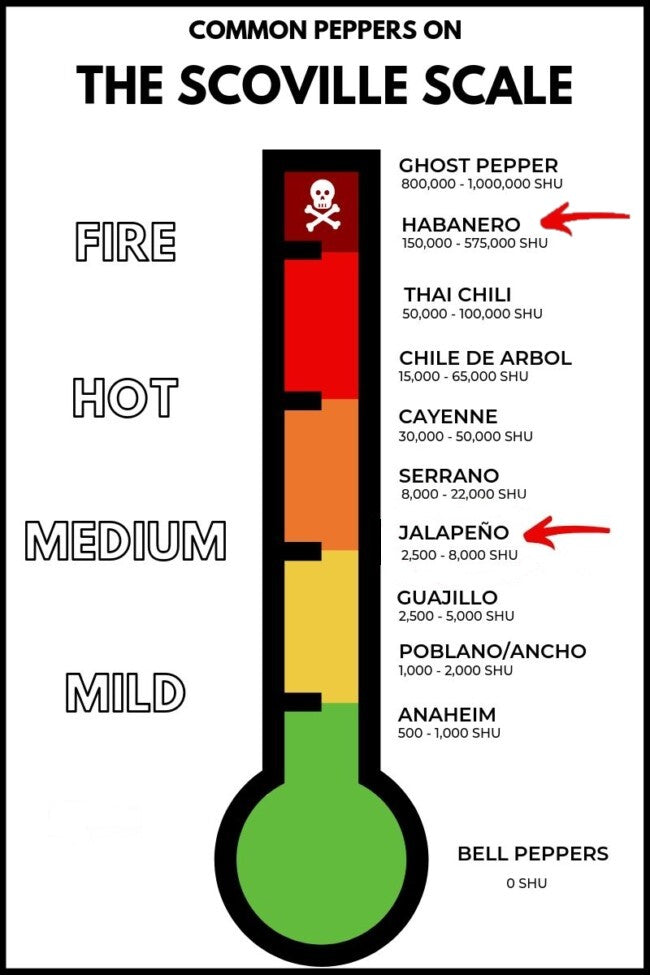 Michigan Hellfire Jam- Cherry Berry Habanero Jam with Jim Beam Honey Bourbon Whiskey!