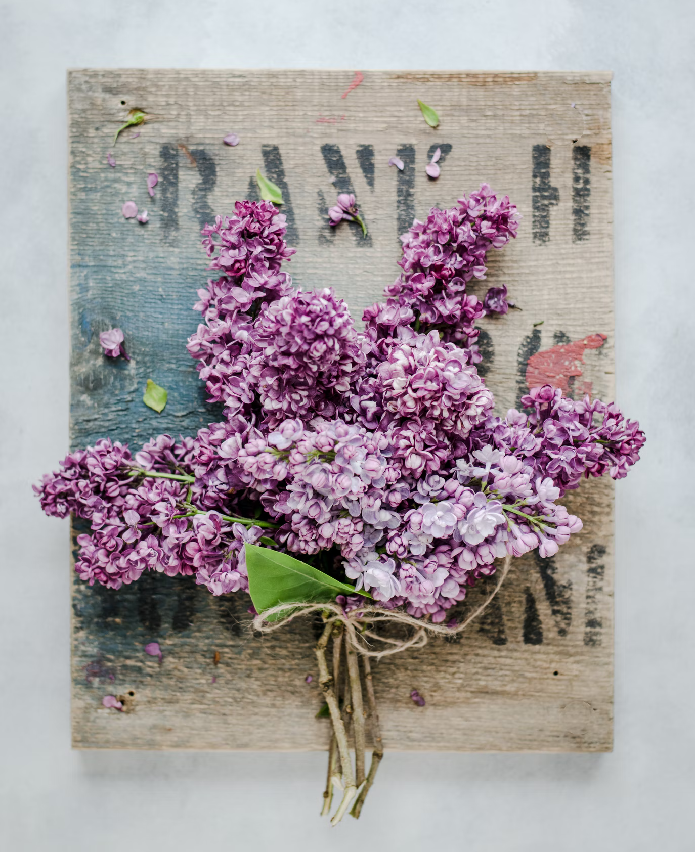 Purple Lilac Jelly - enjoy these sweet summer flowers year round!