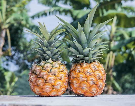 Parrot Bay Pineapple Jam - Artisan Small Batch Jams