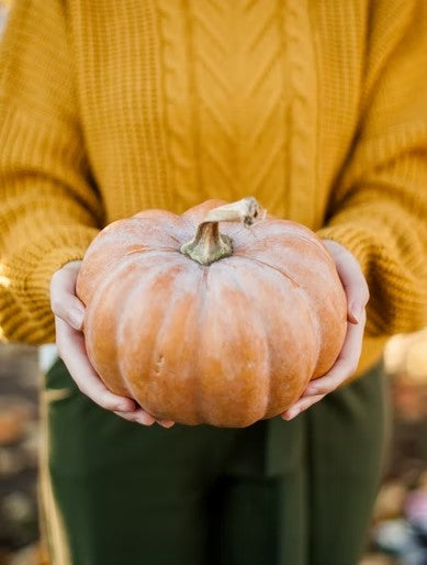 Mulled Pumpkin Juice Jelly - grown right here in the garden!