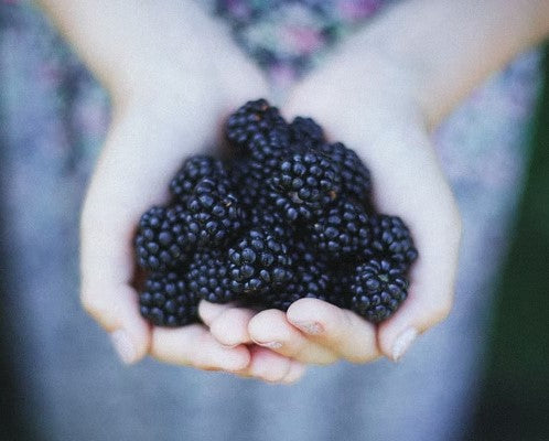 Blackberry Peach Jam - Artisan Small Batch Fruit Jams