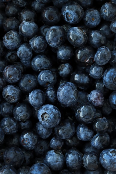 Seedless Blueberry Jam - Artisan Small Batch Jams